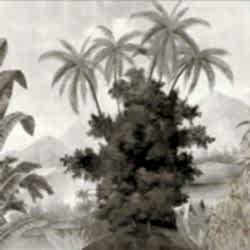 monochrome_5